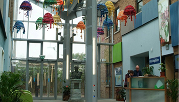 Stoke Damerel Community College